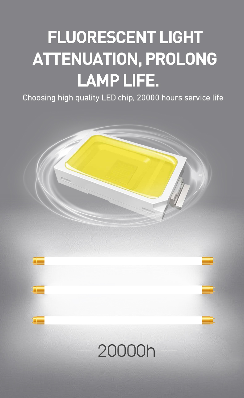 T8 Tube Light Fixture T8 Tube Light Fixture